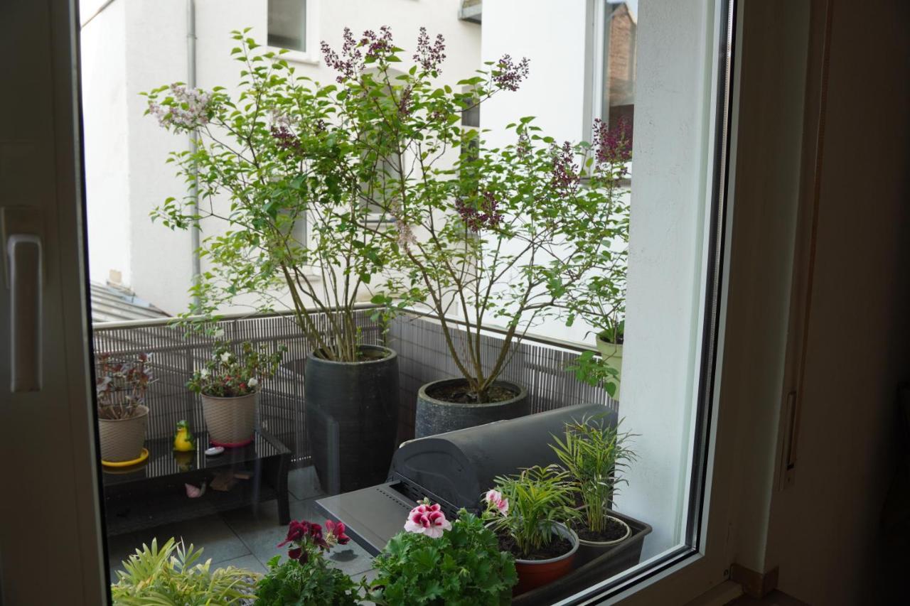 Bright, Spacious Apartment With A Lovely Terrace In The Heart Of Аахен Екстериор снимка